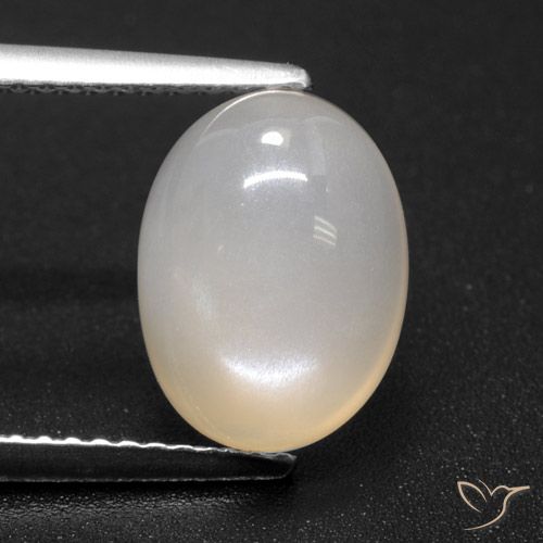 3.71ct 자연스러운 오프 화이트 월장석, 타원형, 투명한