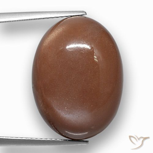 24.38ct 자연스러운 시나몬 브라운 월장석, 타원형, 불투명체