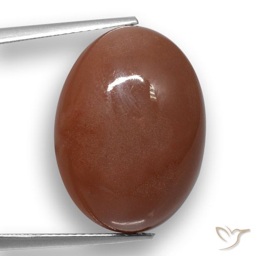 20.59ct 자연스러운 미디엄 브라운 월장석, 타원형, 투명한