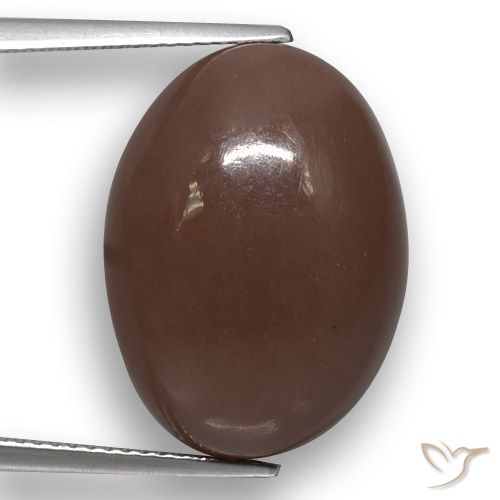 22.51ct 자연스러운 미디엄 브라운 월장석, 타원형, 투명한
