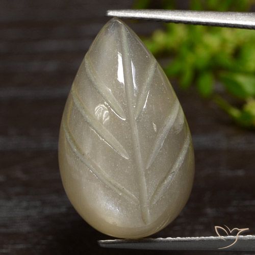 12.55ct 자연스러운 라이트 커피 브라운 월장석, 팬시한, 투명한