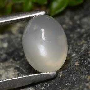 1.58캐럿 천연 반투명 흰색 문스톤, 타원형 컷, 8.1×6.1 mm, 투명한