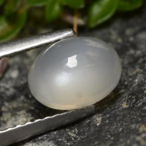 1.58캐럿 천연 반투명 흰색 문스톤, 타원형 컷, 8.1×6.1 mm, 투명한