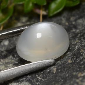 1.58캐럿 천연 반투명 흰색 문스톤, 타원형 컷, 8.1×6.1 mm, 투명한