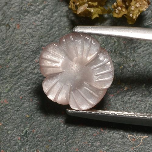 3.00ct 자연스러운 라이트 캐러멜 브라운 월장석, 플라워 컷, 투명한