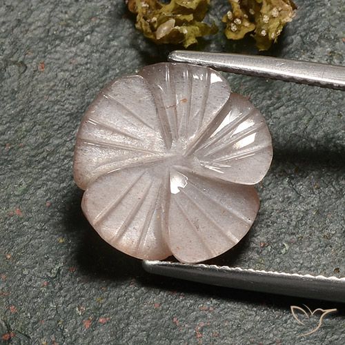 6.77ct 자연스러운 라이트 캐러멜 브라운 월장석, 플라워 컷, 투명한