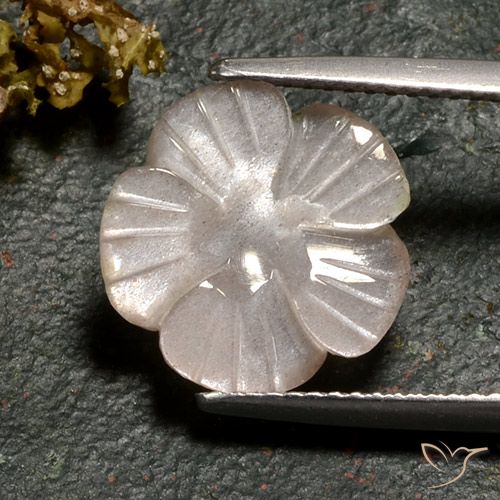 3.77ct 자연스러운 라이트 캐러멜 브라운 월장석, 플라워 컷, 투명한