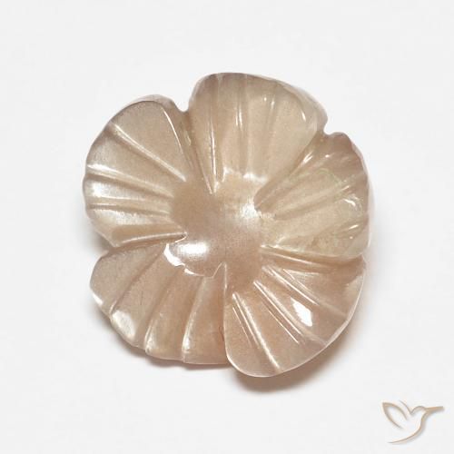 4.14ct 자연스러운 매우 밝은 갈색 월장석, 플라워 컷, 투명한