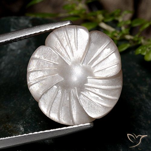 9.33ct 자연스러운 페일 브라운 월장석, 플라워 컷, 투명한