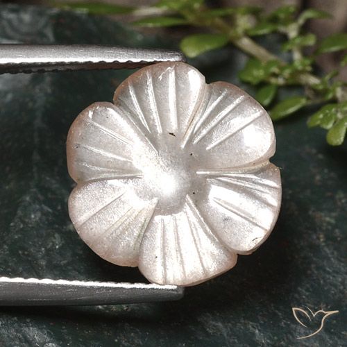 5.24ct 자연스러운 매우 밝은 갈색 월장석, 플라워 컷, 투명한