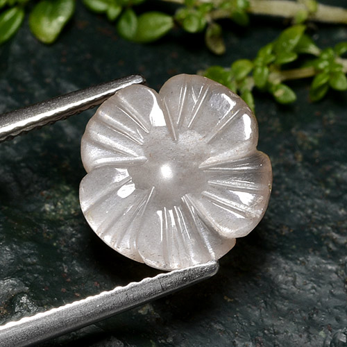 3.60캐럿 천연 매우 연한 핑크 문스톤, 플라워 컷, 11.4×11.3 mm, 투명한