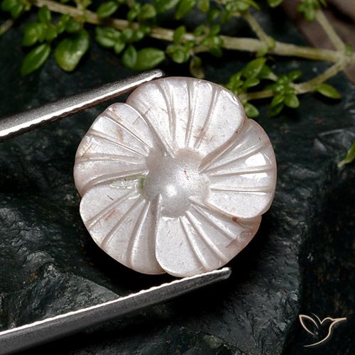 8.04ct 자연스러운 페일 브라운 월장석, 플라워 컷, 투명한