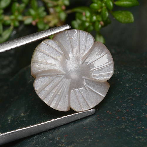 5.29캐럿 천연 매우 밝은 갈색 문스톤, 플라워 컷, 13.1×13 mm, 투명한