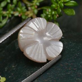 5.29캐럿 천연 매우 밝은 갈색 문스톤, 플라워 컷, 13.1×13 mm, 투명한