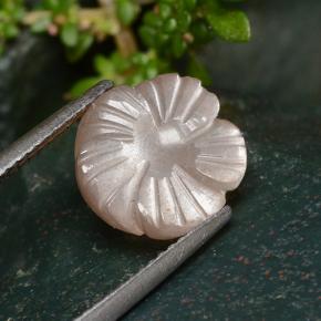 4.01캐럿 천연 라이트 오렌지 문스톤, 플라워 컷, 11×10.9 mm, 투명한
