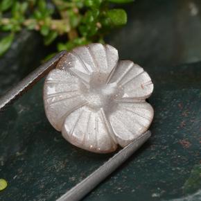 6.41캐럿 천연 피치 오렌지 문스톤, 플라워 컷, 14.1×13.8 mm, 투명한