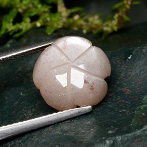 5.57캐럿 천연 피치 오렌지 월장석, 플라워 컷, 투명한