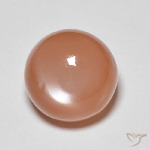 5.46ct 자연스러운 피치 오렌지 월장석, 둥근, 투명한