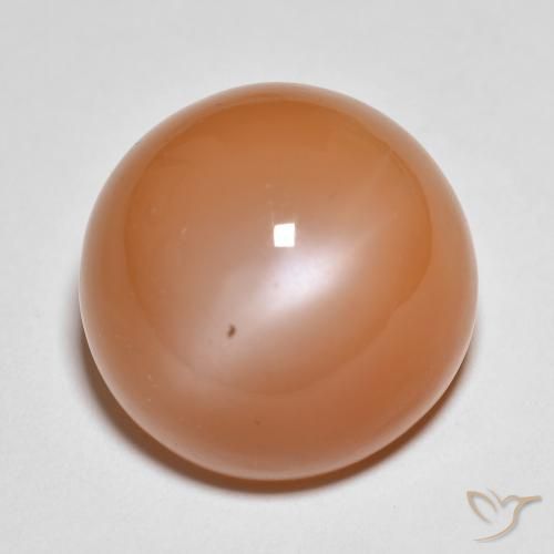 18.54ct 자연스러운 라이트 레드 오렌지 월장석, 둥근, 투명한