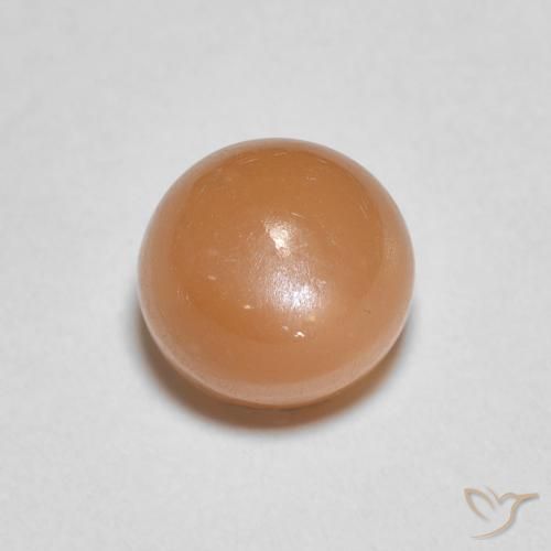 1.22ct 자연스러운 따뜻한 살구 오렌지 월장석, 둥근, 투명한