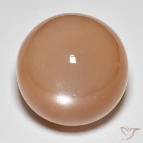 31.92ct 자연스러운 멜론 오렌지 월장석, 둥근, 투명한