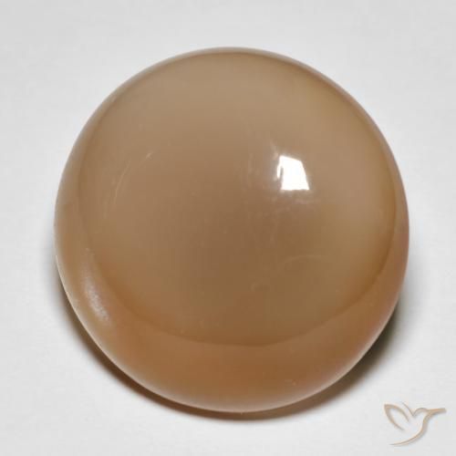 18.95ct 자연스러운 멜론 오렌지 월장석, 둥근, 투명한