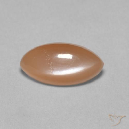 1.25ct 자연스러운 옅은 멜론 오렌지 월장석, 보석, 투명한