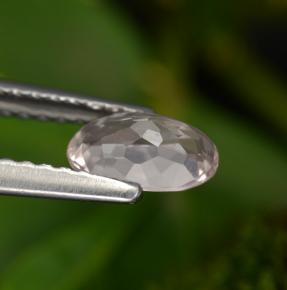 0.51캐럿 천연 플라밍고 핑크 모가나이트, 타원형 컷, 6.7×4.2 mm, VVS-VS