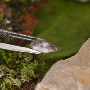 0.49캐럿 천연 라이트 핑크 모가나이트, 배 모양, VVS