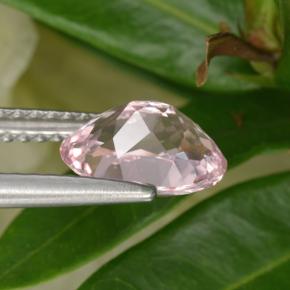1.26캐럿 천연 라이트 핑크 모가나이트, 타원형 컷, 8.3×6.3 mm, VVS