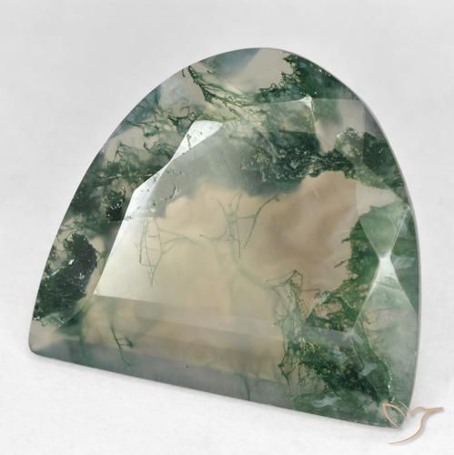 18.92캐럿 천연 멀티컬러 모스 아게이트, 멋진 모양, 23.3×20.8 mm, 투명한