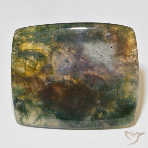 86.48ct 자연스러운 다색 이끼 마노, 방석, 투명한