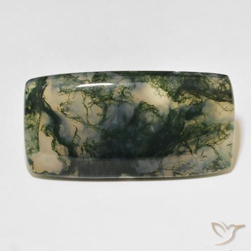 49.99ct 자연스러운 다색 이끼 마노, 방석, 투명한