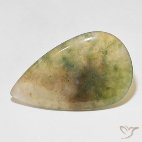 39.08ct 자연스러운 다색 이끼 마노, 배 모양, 투명한