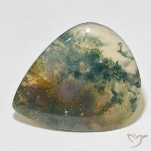 49.60ct 자연스러운 다색 이끼 마노, 배 모양, 투명한