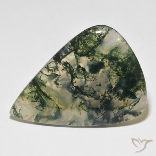76.96ct 자연스러운 다색 이끼 마노, 배 모양, 투명한