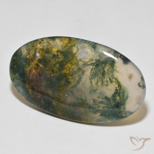 47.03캐럿 천연 멀티컬러 모스 아게이트, 타원형 컷, 42.2×24.9 mm, 불투명체
