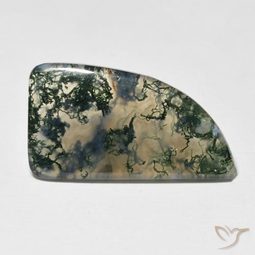 12.73ct 자연스러운 다색 이끼 마노, 팬시한, 투명한