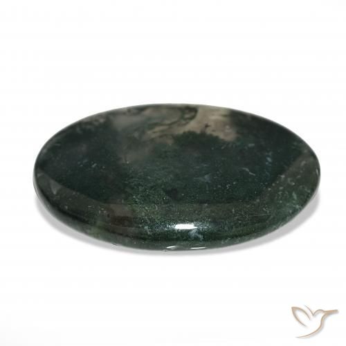 58.50캐럿 천연 다색 이끼 마노, 타원형, 투명한
