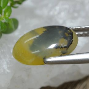 2.98캐럿 천연 노란색 수상돌기 모스 오팔, 타원형 컷, 투명한