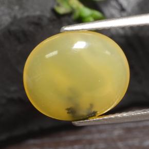 3.65캐럿 천연 옐로우 덴드라이트 모스 오팔, 타원형 컷, 13.3×11.3 mm, 투명한