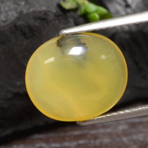 3.65캐럿 천연 옐로우 덴드라이트 모스 오팔, 타원형 컷, 13.3×11.3 mm, 투명한