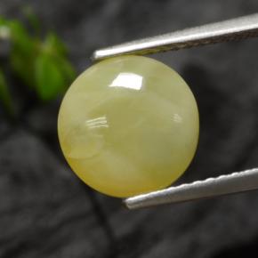 2.73캐럿 천연 옐로우 덴드라이트 모스 오팔, 라운드 컷, 9.28 mm, 투명한