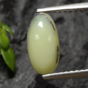 1.12캐럿 천연 옐로우 덴드라이트 모스 오팔, 타원형 컷, 투명한