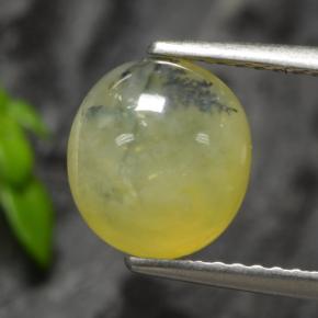 1.93캐럿 천연 노란색 수상돌기 모스 오팔, 타원형 컷, 투명한