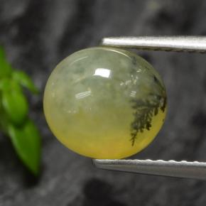 1.93캐럿 천연 노란색 수상돌기 모스 오팔, 타원형 컷, 투명한