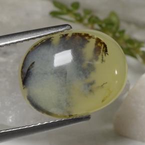 6.23캐럿 천연 옐로우 덴드라이트 모스 오팔, 타원형 컷, 14.5×11.4 mm, 투명한