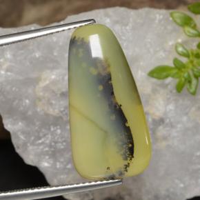 8.75캐럿 천연 노란색 수상돌기 모스 오팔, 멋진 모양, 투명한