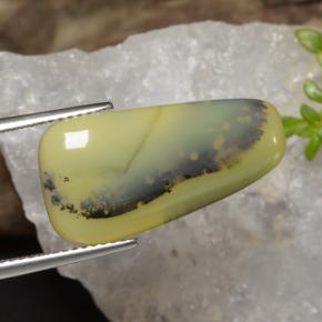 8.75캐럿 천연 노란색 수상돌기 모스 오팔, 멋진 모양, 투명한