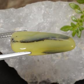 8.75캐럿 천연 노란색 수상돌기 모스 오팔, 멋진 모양, 투명한